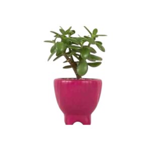 Pintura Spray Magenta Satinado Rust Oleum - Imagen 3