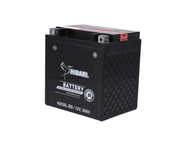 Batería Hibari YIX30L-BS