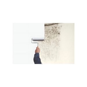 Barniz Zinsser Rust-Oleum Fondo Eliminador de Hongo y Moho 946 ml – Protección Total - Imagen 4